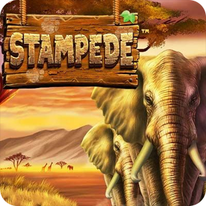 STAMPEDE